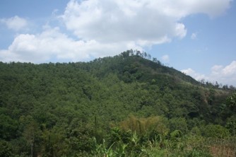 Gunung Mandalawangi 3